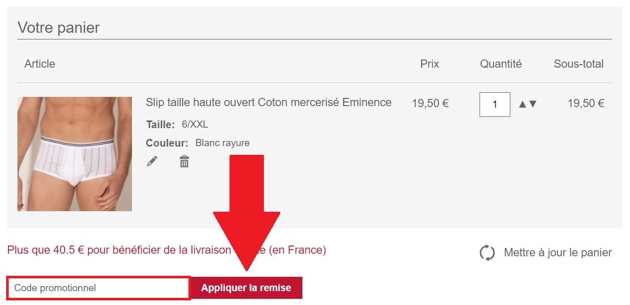 Emplacement pour code promo Eminence dans le panier en ligne