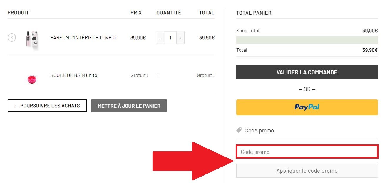 Encadré pour code promo Bianochy