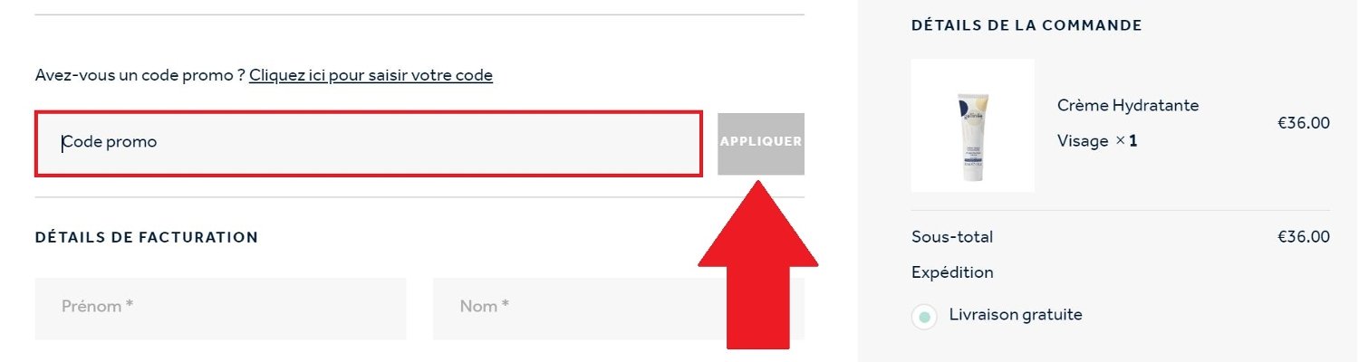 Panier de commande avec code promo Gallinée