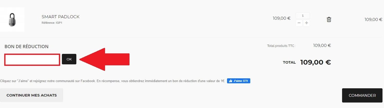 Panier virtuel avec code promo IglooHome