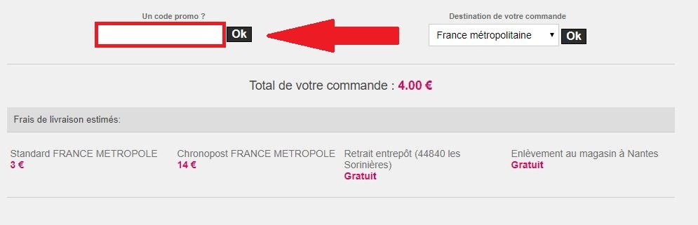 Panier avec codes promo Michenaud