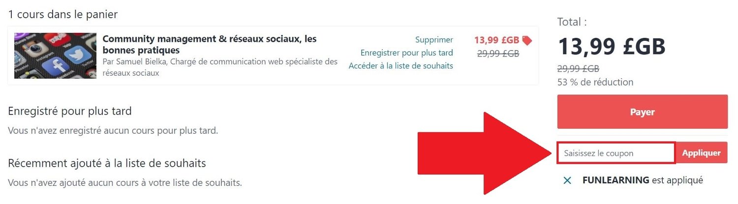 Panier de commande avec code promo Udemy