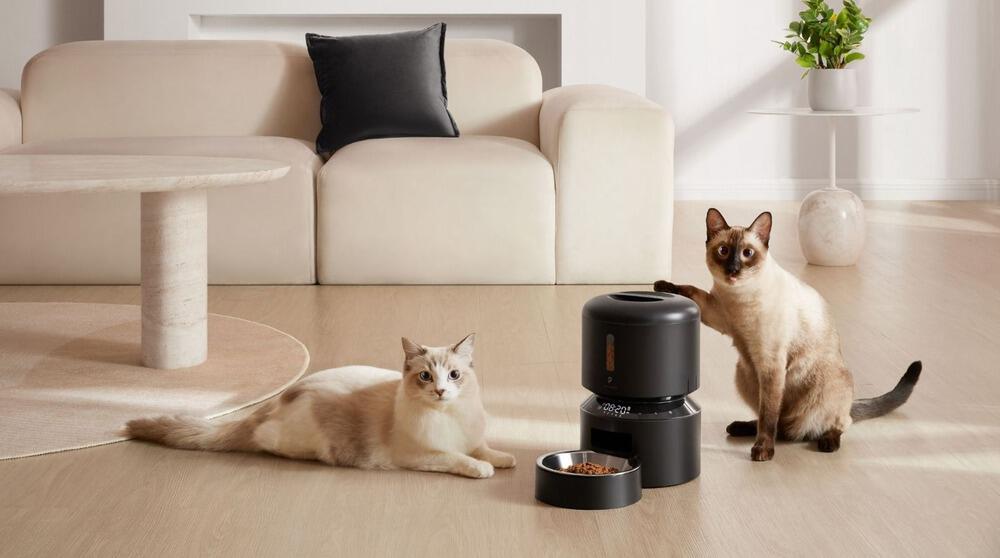 Banner der PETLIBRO Gutscheinseite: zwei beigefarbene Katzen an PETLIBRO Futterspender