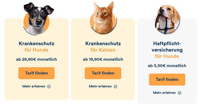 img: petolo-tarife / alt: Kranken- und Haftpflichtversicherungen zu günstigen Preisen mit den besten Petolo Tarifen.