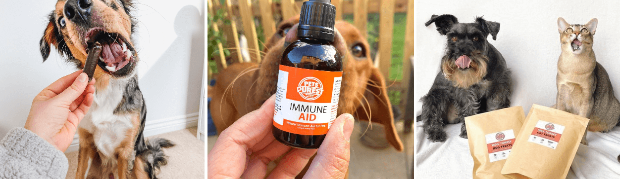 Pets Purest dog treats and cat treats from Pets Purest on Instagram