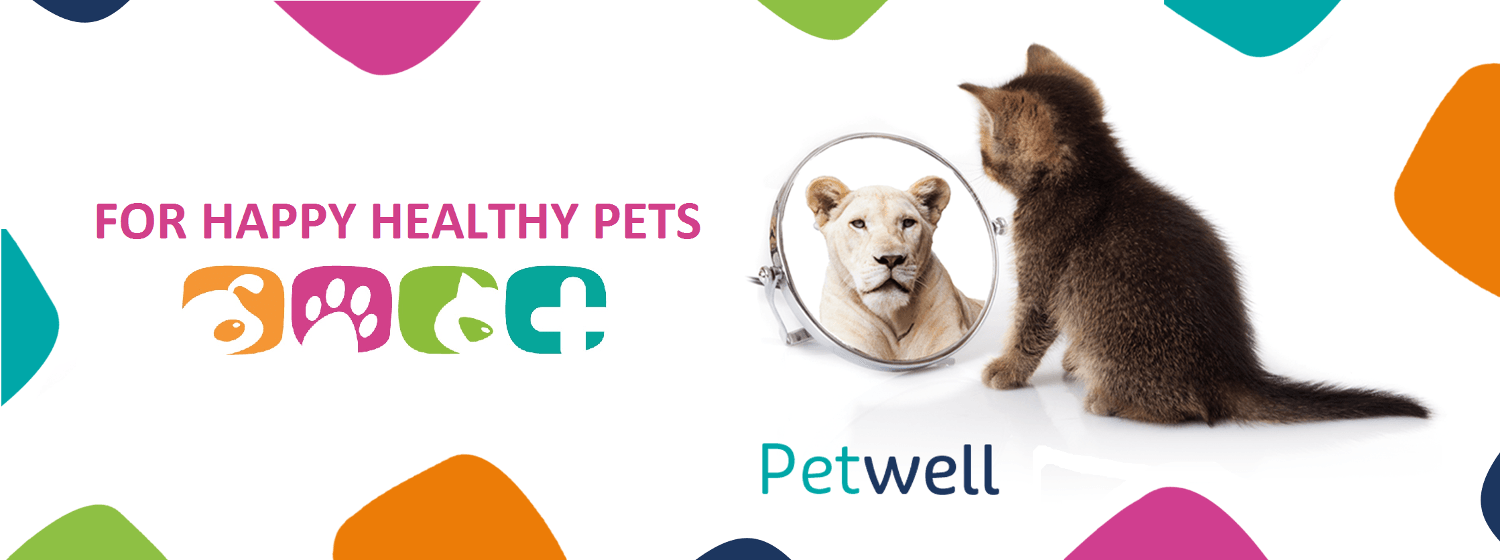 Petwell discount codes banner - for happy and healthy pets