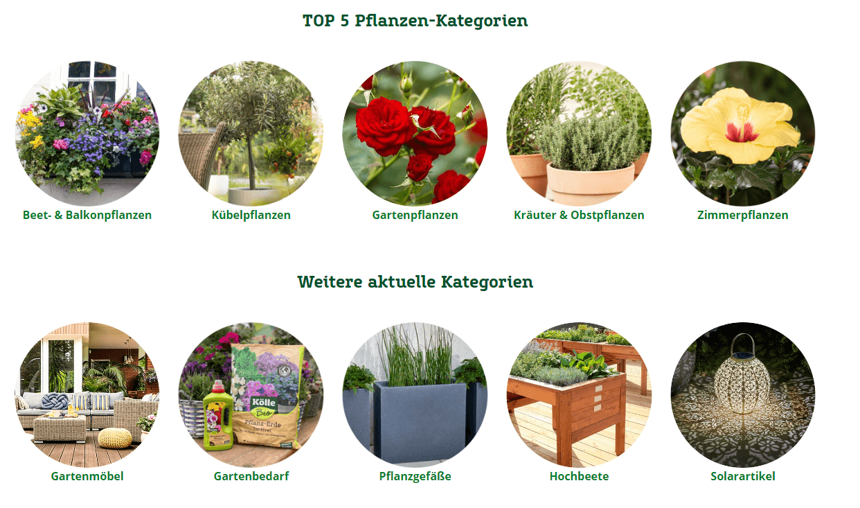 Übersicht über das Pflanzen-Kölle-Angebot aus Pflanzen, Kübeln, Gartenmöbeln und mehr