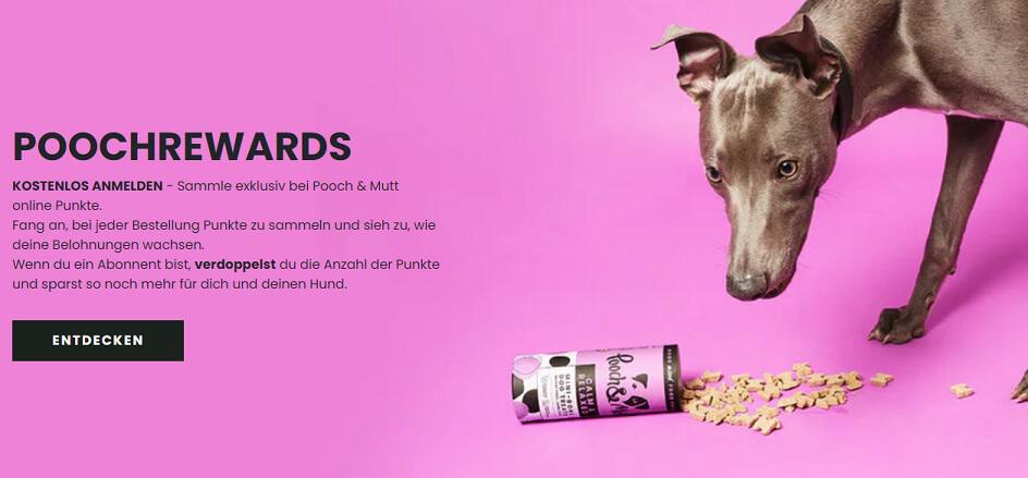 junger Labrador vor einer Packung natürlicher Leckerlis für Hunde vor pinkem Grund mit Hinweis auf die Pooch & Mutt PoochRewards