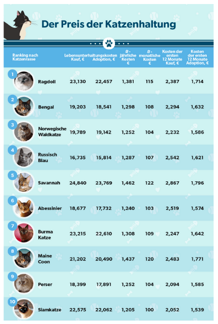 Preis der Katzenhaltung für die beliebtesten Rassen in Deutschland
