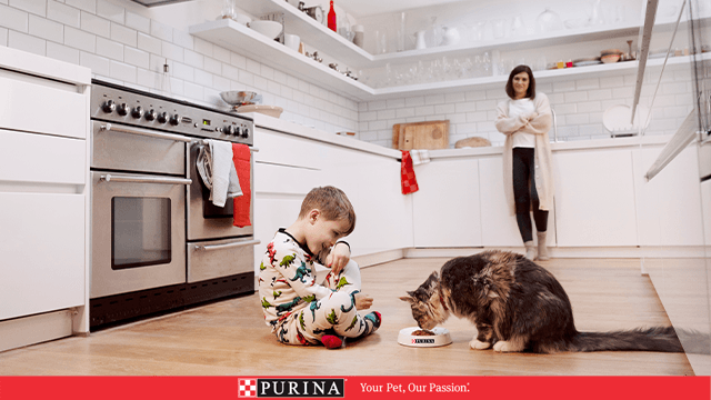 Purina banner - cat eating pet food