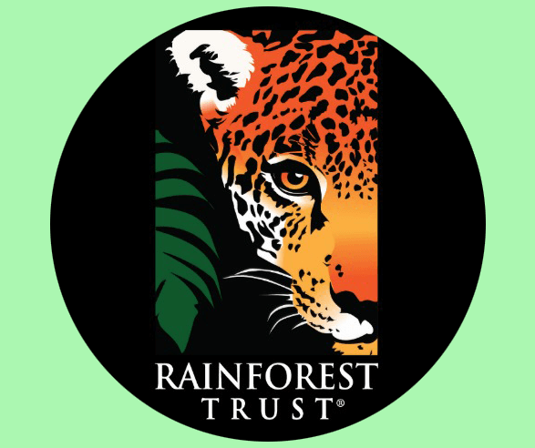 Donate to Rainforest Trust UK and save at HALARA and PatPat 3rd - 9th June