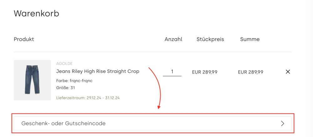 Warenkorb-Screenshot mit Eingabefeld für deinen Robert Ley Gutschein