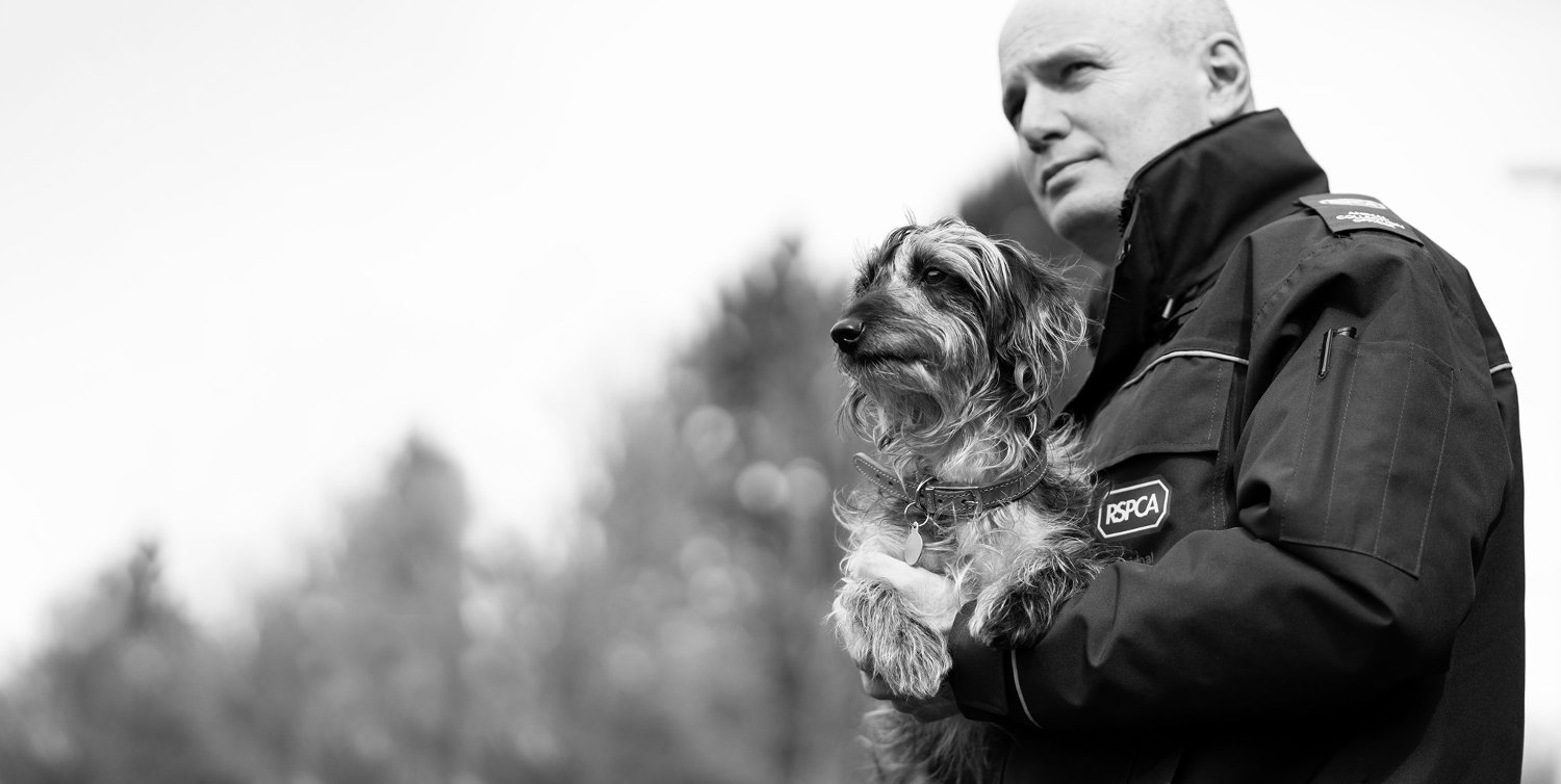 RSPCA charity banner, man who works at RSPCA holding a dog
