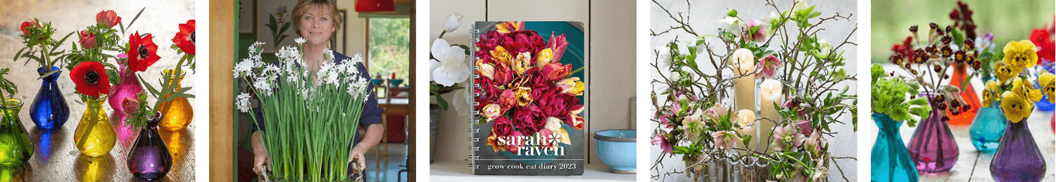 Sarah Raven sale banner - selection of flowers and homeware from the Sarah Raven sale