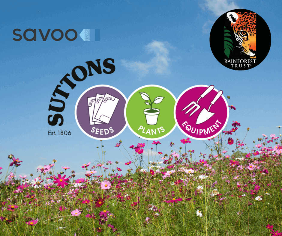 Savoo supports Rainforest Trust