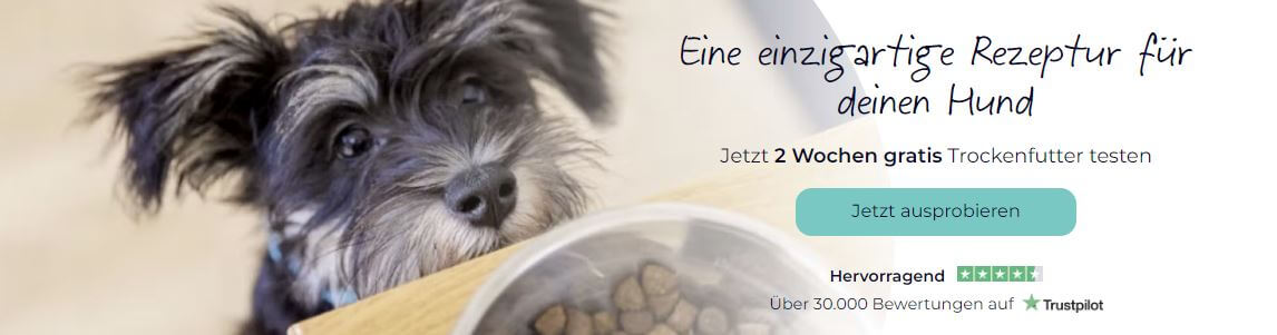 Tails.com kostenlos testen für zwei Wochen – Banner mit Foto von kleinem Hund und Trockenfutter im Napf