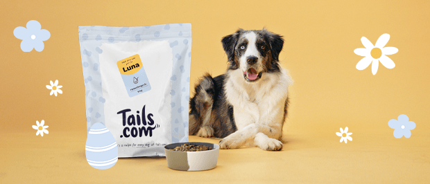 tails.com dog food promotional image