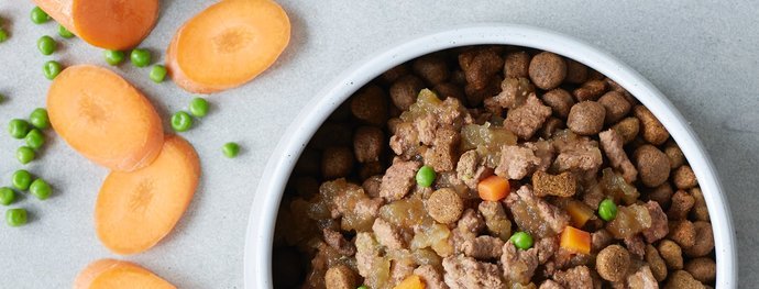 Bowl of Tails.com dog food with carrot and peas
