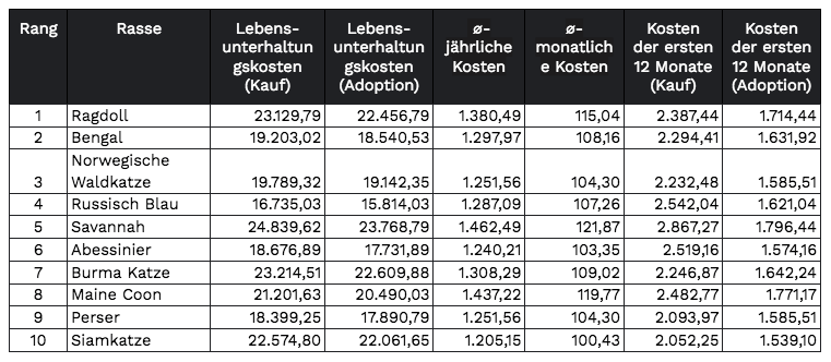 Die teuersten Katzenrassen im Vergleich