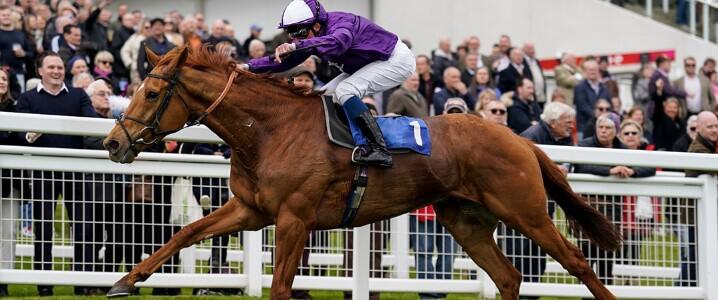 The Jockey Club discount guide banner featuring jockey with purple jacket riding on a horse during race event