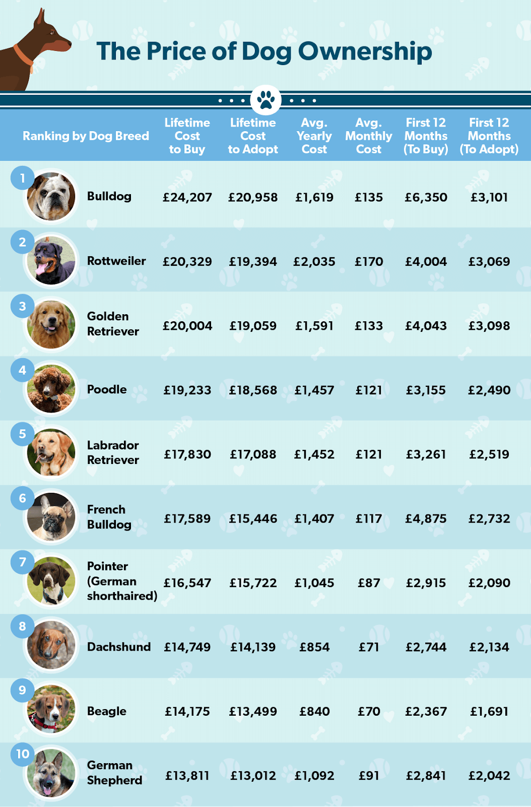 how much does it cost to have a dog in uk
