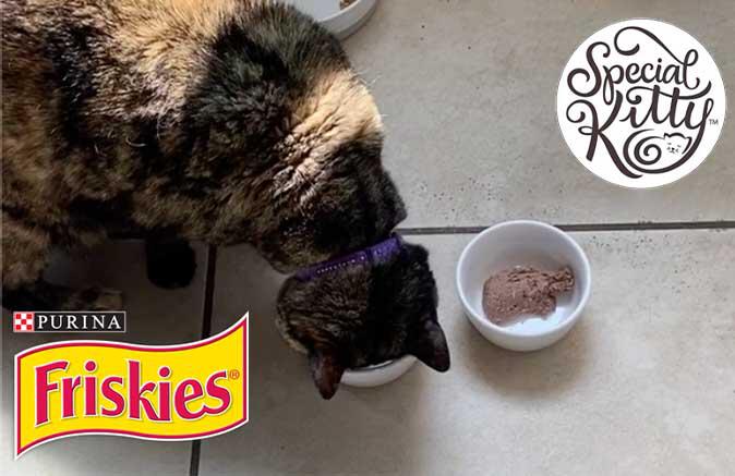 Friskies