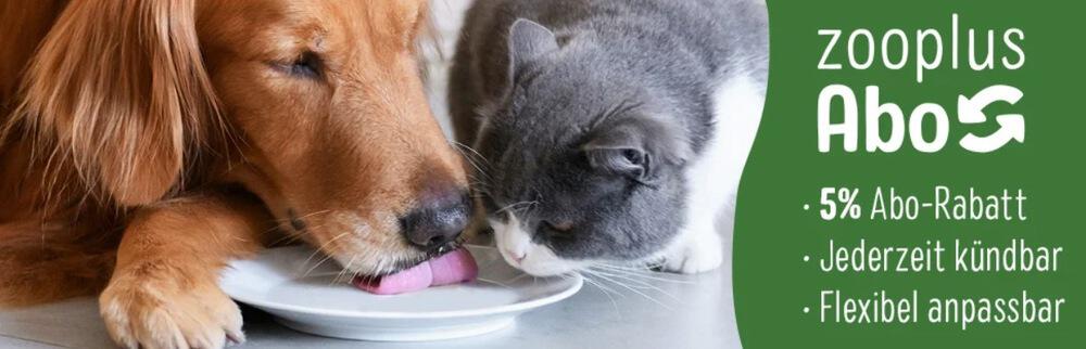 Hund und Katze schlecken leeren Teller ab - Banner für das Zooplus Abo