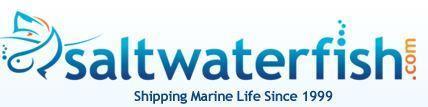 saltwaterfish logo