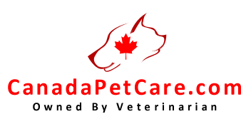 Canadapetcare