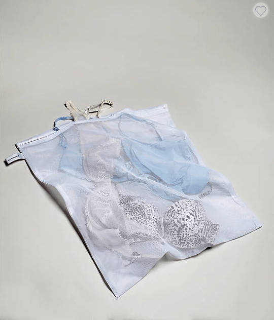 Get Large Lingerie Wash Bag for $12