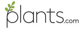 plants.com logo