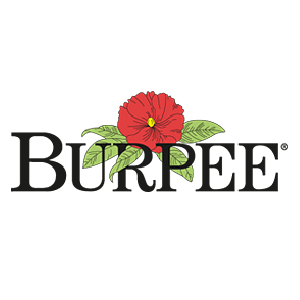 Burpee Logo