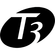 T3