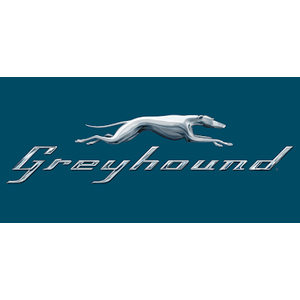 Greyhound
